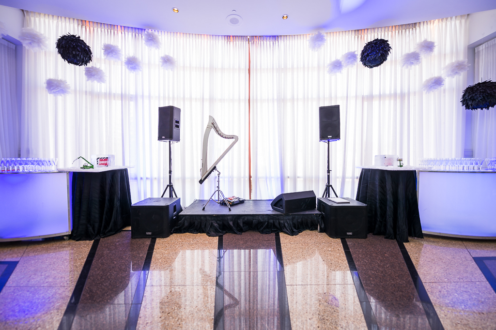 Scène de concert avec harpe