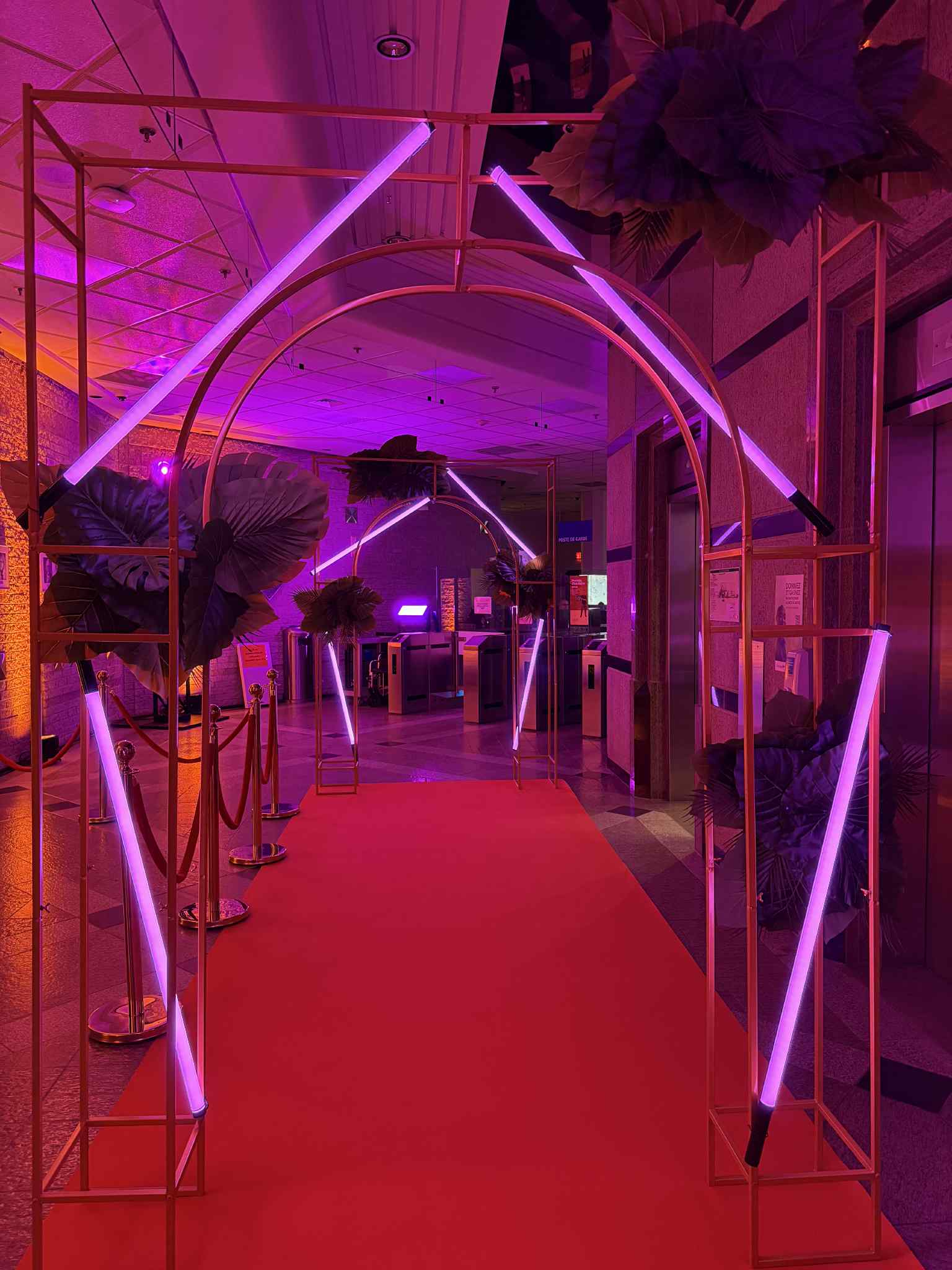 Allée décorée avec lumières violettes.